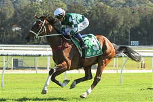 GOSFORD, AUSTRALIA - MAY 06: Kerrin Mcevoy riding Hometruths 
 wins Race 5 Prestige Wedding Hire during "Gosford Gold Cup" - Sydney Racing at Gosford Racecourse on May 06, 2023 in Gosford, Australia. (Photo by Jeremy Ng/Getty Images)