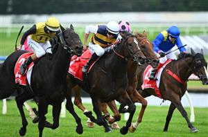 SA Derby Barriers