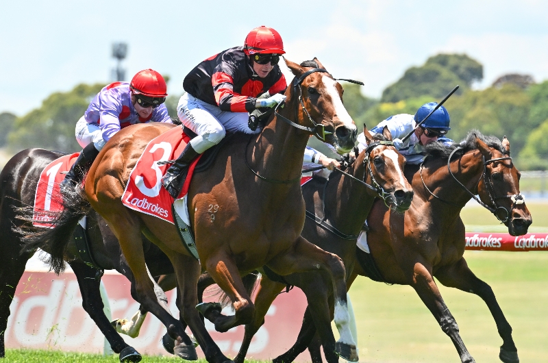 South Australian Derby 2023 Tips, Preview & Best Bets