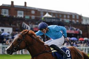 CHESTER, ENGLAND - MAY 11: James Doyle riding Hackman win The British EBF Ruby Anniversary Maiden Stakes at Chester Racecourse on May 11, 2023 in Chester, England. (Photo by Alan Crowhurst/Getty Images)