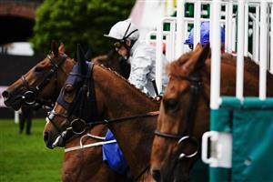 CHESTER, ENGLAND - MAY 11: A general view as runners leave the starting stalls for The Deepbridge Capital Handicap at Chester Racecourse on May 11, 2023 in Chester, England. (Photo by Alan Crowhurst/Getty Images)