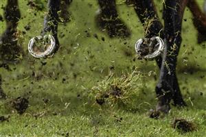 CHESTER, ENGLAND - MAY 11: Hooves and grass at Chester Racecourse on May 11, 2023 in Chester, England. (Photo by Alan Crowhurst/Getty Images)