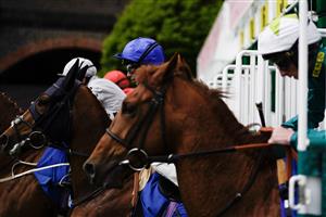 CHESTER, ENGLAND - MAY 11: A general view as runners leave the starting stalls for The Deepbridge Capital Handicap at Chester Racecourse on May 11, 2023 in Chester, England. (Photo by Alan Crowhurst/Getty Images)