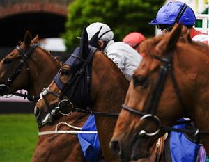 CHESTER, ENGLAND - MAY 11: A general view as runners leave the starting stalls for The Deepbridge Capital Handicap at Chester Racecourse on May 11, 2023 in Chester, England. (Photo by Alan Crowhurst/Getty Images)