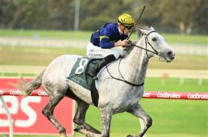 Big Bets for 13.05.2023