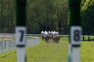 CHESTER, ENGLAND - MAY 12: A view through the starting stalls as runners in The CAA Stellar Earl Grosvenor Handicap make their way to the bend at Chester Racecourse on May 12, 2023 in Chester, England. (Photo by Alan Crowhurst/Getty Images)