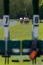 CHESTER, ENGLAND - MAY 12: A view through the starting stalls as runners in The CAA Stellar Earl Grosvenor Handicap make their way to the bend at Chester Racecourse on May 12, 2023 in Chester, England. (Photo by Alan Crowhurst/Getty Images)
