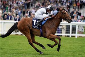 ASCOT, ENGLAND - MAY 13: Jim Crowley riding Rebel Territory (black/white) win The Peroni Nastro Azzurro Victoria Cup at Ascot Racecourse on May 13, 2023 in Ascot, England. (Photo by Alan Crowhurst/Getty Images)