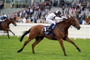 ASCOT, ENGLAND - MAY 13: Jim Crowley riding Rebel Territory (black/white) win The Peroni Nastro Azzurro Victoria Cup at Ascot Racecourse on May 13, 2023 in Ascot, England. (Photo by Alan Crowhurst/Getty Images)