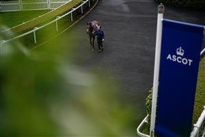 ASCOT, ENGLAND - MAY 13: A horse makes its way to the parade ring at Ascot Racecourse on May 13, 2023 in Ascot, England. (Photo by Alan Crowhurst/Getty Images)