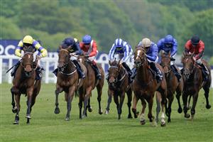 ASCOT, ENGLAND - MAY 13: Tom Queally riding Farhh To Shy (blue/yellow) win The at Ascot Racecourse on May 13, 2023 in Ascot, England. (Photo by Alan Crowhurst/Getty Images)