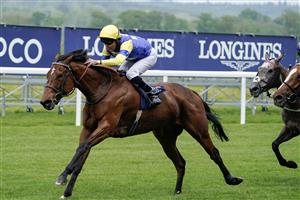 ASCOT, ENGLAND - MAY 13: Tom Queally riding Farhh To Shy (blue/yellow) win The at Ascot Racecourse on May 13, 2023 in Ascot, England. (Photo by Alan Crowhurst/Getty Images)