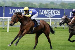 ASCOT, ENGLAND - MAY 13: Tom Queally riding Farhh To Shy (blue/yellow) win The at Ascot Racecourse on May 13, 2023 in Ascot, England. (Photo by Alan Crowhurst/Getty Images)