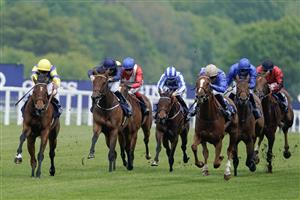 ASCOT, ENGLAND - MAY 13: Tom Queally riding Farhh To Shy (blue/yellow) win The at Ascot Racecourse on May 13, 2023 in Ascot, England. (Photo by Alan Crowhurst/Getty Images)
