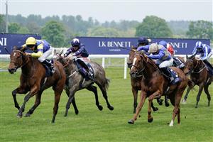 ASCOT, ENGLAND - MAY 13: Tom Queally riding Farhh To Shy (blue/yellow) win The at Ascot Racecourse on May 13, 2023 in Ascot, England. (Photo by Alan Crowhurst/Getty Images)
