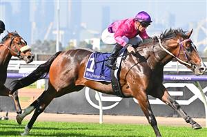 Big Bets Results - May 13