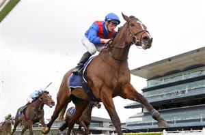 Doomben Cup 2023 Barrier Draw & Final Field