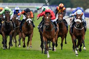 2023 Nunthorpe Stakes Odds - Highfield Princess favourite to defend crown