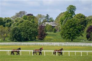 YORK, ENGLAND - MAY 17: Runners make their way to the parade ring from the stables at York Racecourse on May 17, 2023 in York, England. (Photo by Alan Crowhurst/Getty Images)
