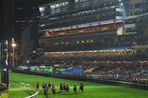 Happy Valley Tips on May 17th - King ready to reign