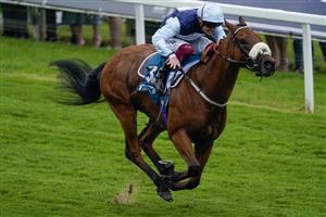 YORK, ENGLAND - MAY 18: Callum Rodriguez riding Regional win The Lindum York Handicap at York Racecourse on May 18, 2023 in York, England. (Photo by Alan Crowhurst/Getty Images)