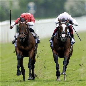 YORK, ENGLAND - MAY 18: Frankie Dettori riding Free Wind (white) win The Al Basti Equiworld Dubai Middleton Fillies' Stakes at York Racecourse on May 18, 2023 in York, England. (Photo by Alan Crowhurst/Getty Images)