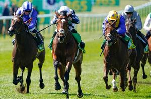 passenger newmarket