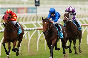 Doomben Betting Tips for May 20, 2023 - Race-By-Race preview for Doomben Cup day