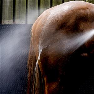 YORK, ENGLAND - MAY 19: Water spray as a horse is hosed down after a race at York Racecourse on May 19, 2023 in York, England. (Photo by Alan Crowhurst/Getty Images)
