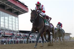 Preakness Stakes Live Stream - Watch the Pimlico race online