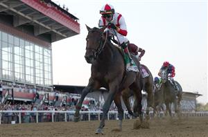 preakness stakes pimlico