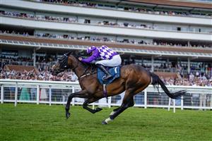 NEWBURY, ENGLAND - MAY 20: James Doyle riding Shaquille win The BetVictor Carnarvon Stakes at Newbury Racecourse on May 20, 2023 in Newbury, England. (Photo by Alan Crowhurst/Getty Images)