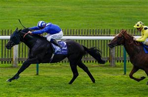 ITV Racing Market Movers May 20 Newbury Newmarket
