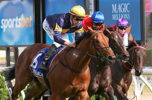 Ballarat Synthetic Betting Tips