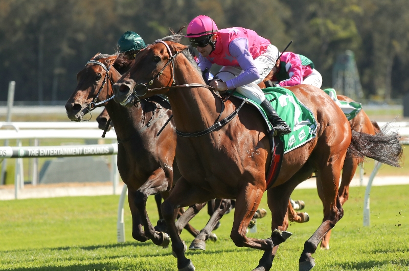 Canterbury Betting Tips for May 24, 2023 Turning well placed again