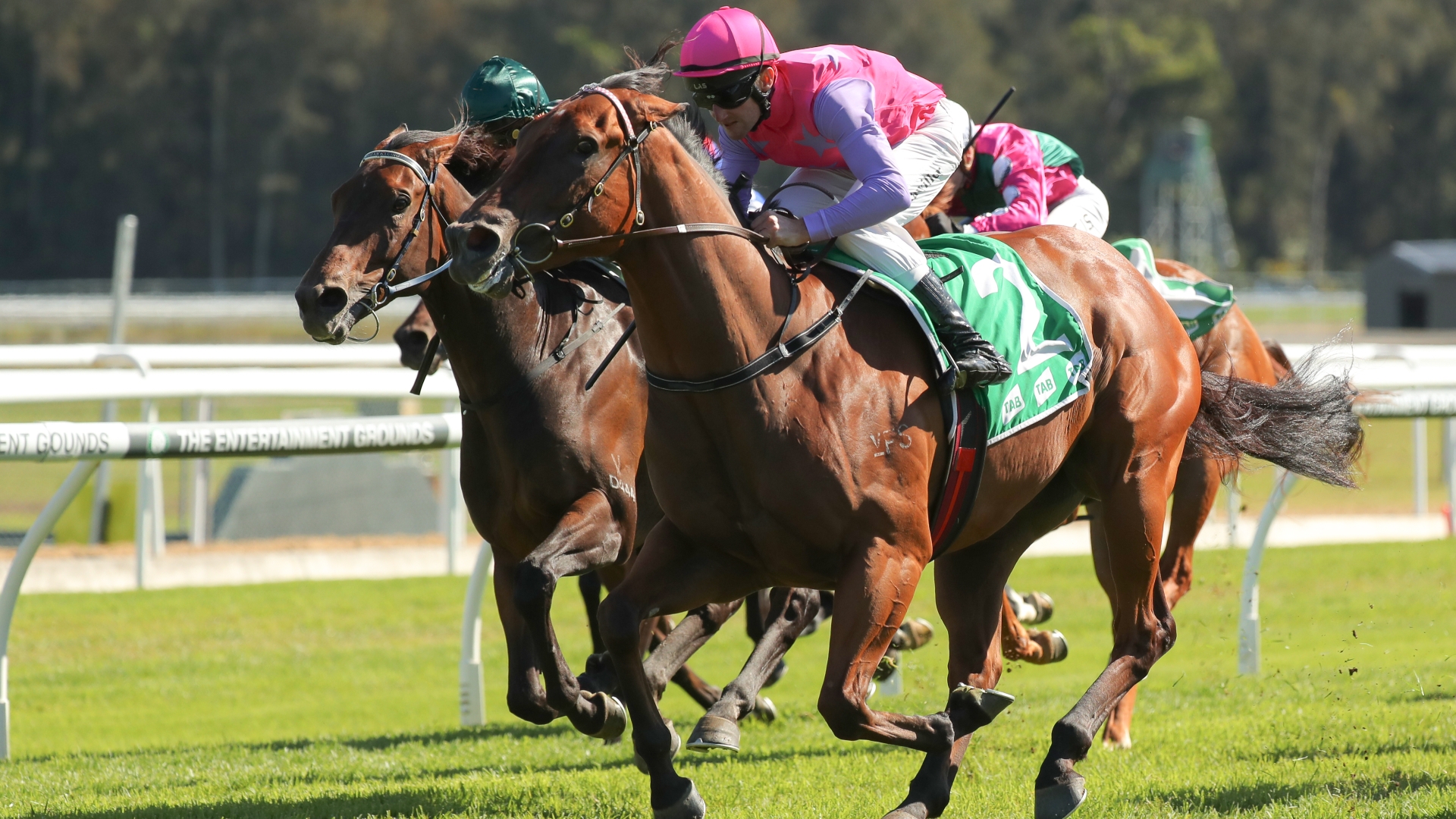 Canterbury Betting Tips for May 24, 2023 Turning well placed again