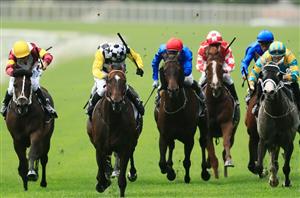 Queensland Derby 2023 Tips, Preview & Best Bets