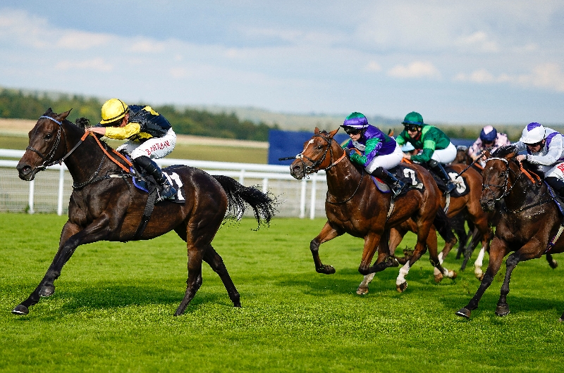 goodwood racecourse