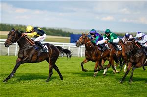 Racing Tips on May 26th - Listed tips at Goodwood and Haydock