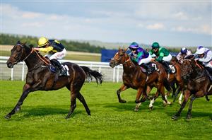 goodwood racecourse