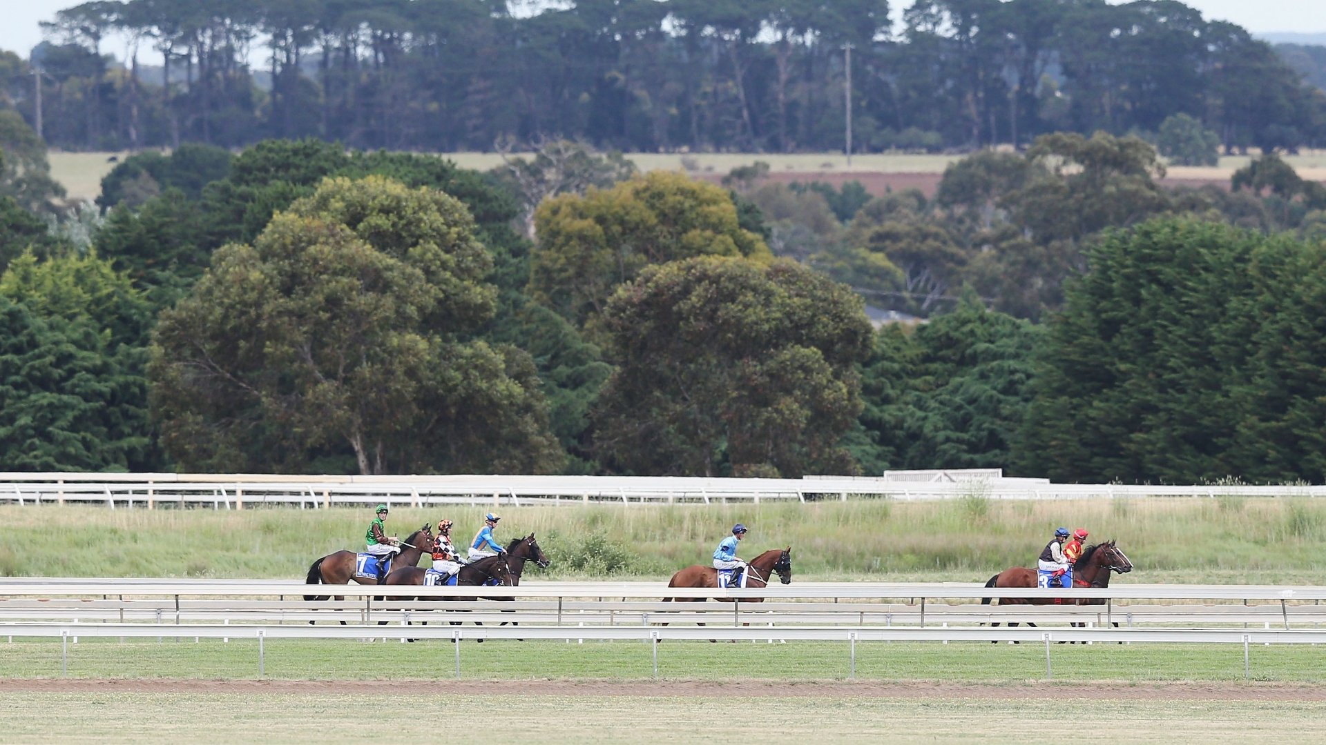 Ballarat Synthetic Betting Tips for August 15, 2023 Crown to score