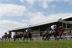 guineas curragh