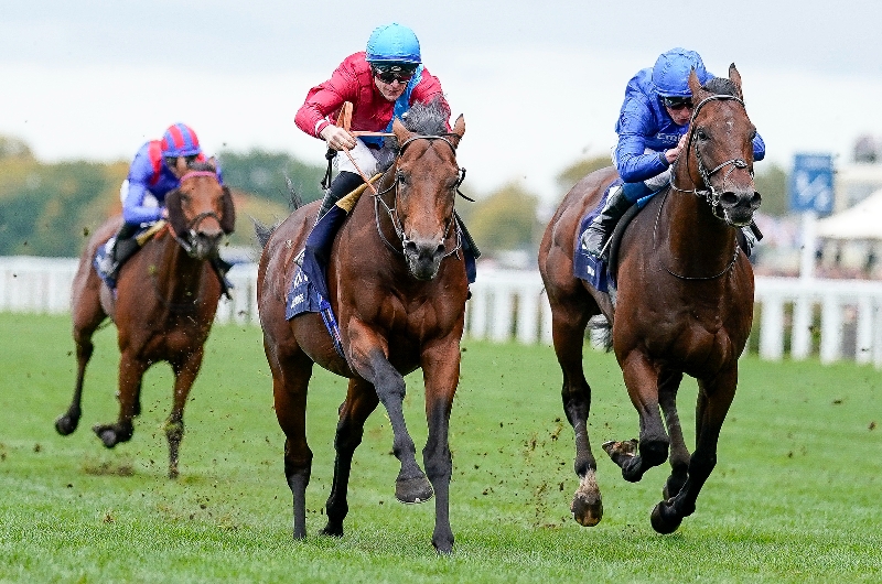 Curragh Tips on May 28th - Four selections on Irish 1000 Guineas day