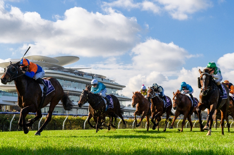Flemington Betting Tips for June 3, 2023 RaceByRace preview for