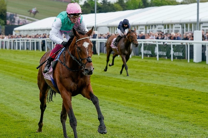 Arrest St Leger 2023 Odds