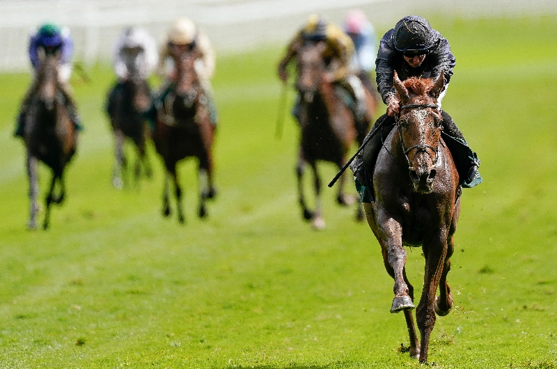 Savethelastdance Irish Oaks 2023 odds