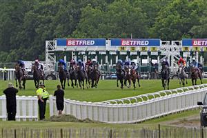 Horses leave the stalls at the start of the Derby on the second day of the Epsom Derby Festival horse racing event in Surrey, southern England on June 3, 2023. (Photo by JUSTIN TALLIS / AFP) (Photo by JUSTIN TALLIS/AFP via Getty Images)