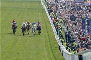 EPSOM, ENGLAND - JUNE 03: Ryan Moore riding Regal Reality (L, light blue) win The Betfred Diomed Stakes on Derby Day at Epsom Racecourse on June 03, 2023 in Epsom, England. (Photo by Alan Crowhurst/Getty Images)