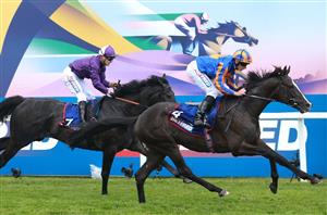 epsom