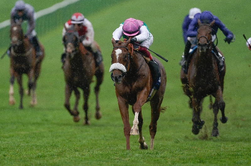 St James's Palace Stakes Odds and Entries